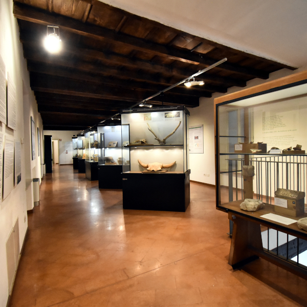 Museo civico cremasco di Crema