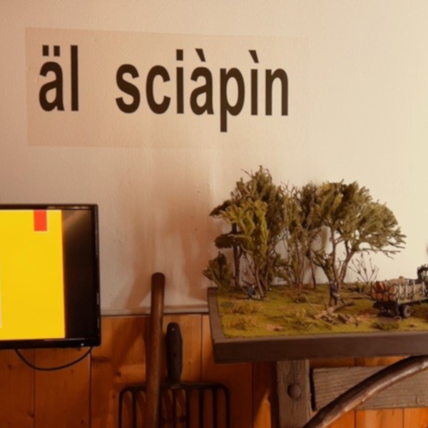 Museo della Civiltà Contadina e dell'Età Contemporanea Santa Cristina e Bissone (PV)