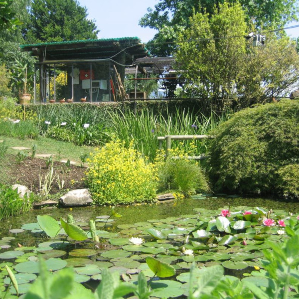 Orto Botanico Lorenzo Rota di Bergamo